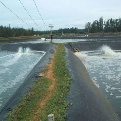 高密度ポリエチレンEVA地膜 魚池の埋立地と下水槽