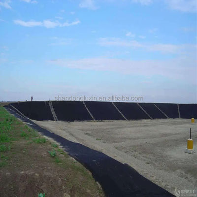 ASTM GRI-GM13 標準の地膜 耐穿孔保護