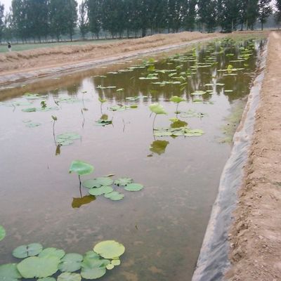 滑らかな魚の池や埋立地に用いる液晶 HDPE 地膜