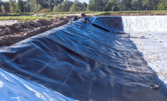 モダンデザイン 黒色HDPE 滑らかな地膜 0.5mm 1mm ごみ区画や魚池用