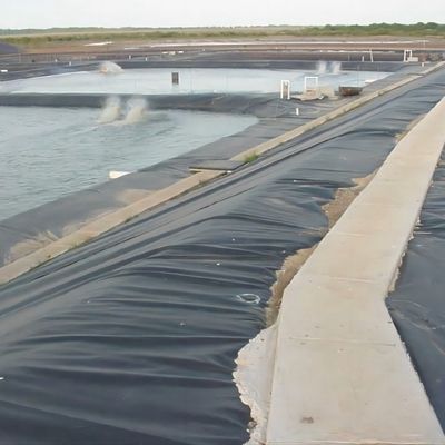近代的な長さ 50~200m 埋立地用 環境に優しい黒い地膜