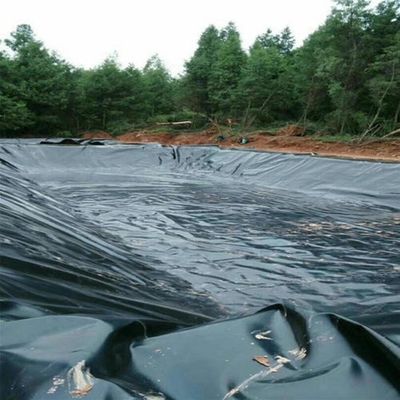 HDPE 地膜の二重滑らかな表面を備えた漏れ防止の水貯蔵タンクを確保する