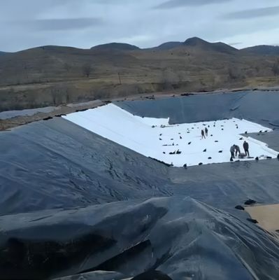 1mm HDPE 地膜ロール 漁業用 1m-8m 幅 横断カテゴリー 統合