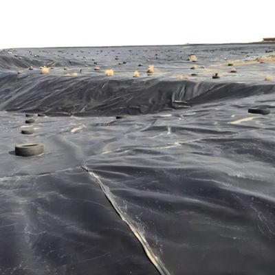 1mm HDPE 地膜ロール 漁業用 1m-8m 幅 横断カテゴリー 統合