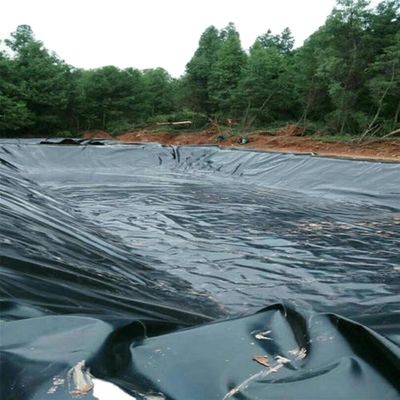 高密度魚類とガリガリ池のラインナー 防水機能を持つHDPEジオメムラン