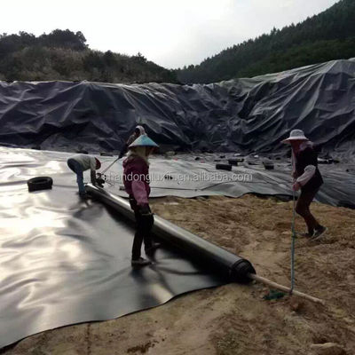 2mm ブラック HDPE 地膜 水不気 魚類 水産物 建物の水池 ラインナー