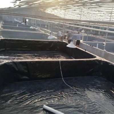 ISO9001 標準 HDPE 地膜 直接販売で水と漏れを防止する