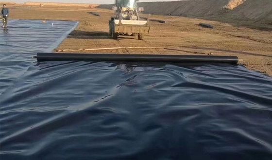HDPE 地膜魚池ラインナー 0.5mm 1mm 2mm 現代の埋立地のデザインスタイル