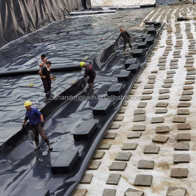 黒い HDPE 地膜 水産物 魚の池の敷き布団のための究極の保護