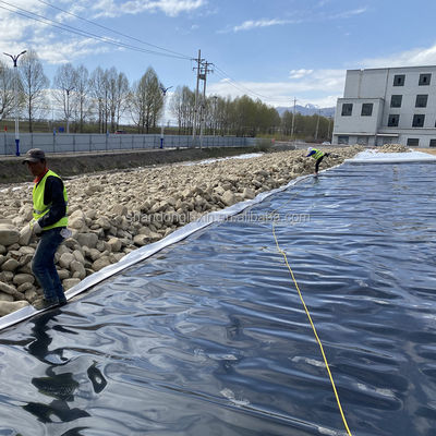黒い HDPE 地膜 水産物 魚の池の敷き布団のための究極の保護