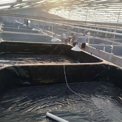 複合質感 HDPE 地膜 プロジェクト ソリューション 能力 魚場 池 ラインナー