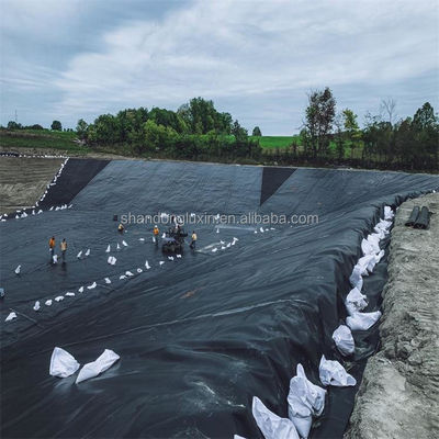 1.5mm 黒色 HDPE 地膜 湖ダム ラインナー 農場 ラインナー 工業デザイン スタイル