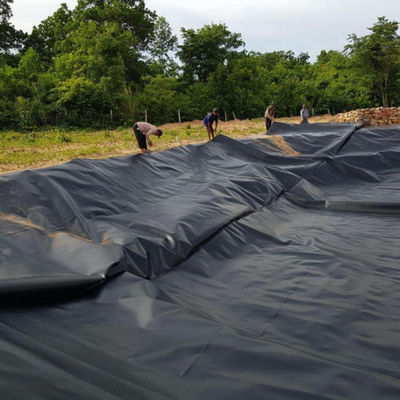 1.5mm 黒色 HDPE 地膜 湖ダム ラインナー 農場 ラインナー 工業デザイン スタイル