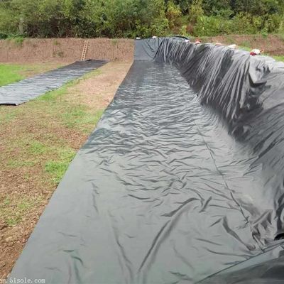 1.5mm 黒色 HDPE 地膜 湖ダム ラインナー 農場 ラインナー 工業デザイン スタイル