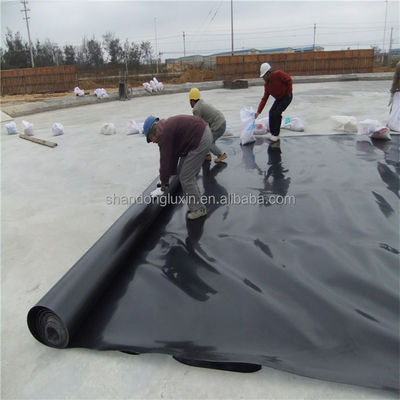 黒色 HDPE 地膜 幅 1m~8m 水産物 魚の池の敷き布団のための最良の選択