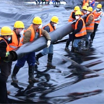 採掘貯水池のダムで魚池のキャリッジ農場のためのカスタマイズ可能なHDPEジオメムブランラインナー