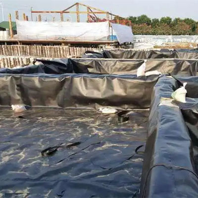 屋根の庭園や水槽の防水型HDPEジオメムラン 耐久性