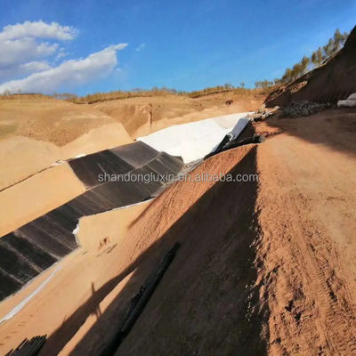 ASTM GRI-GM13 標準 1mm HDPE 地膜