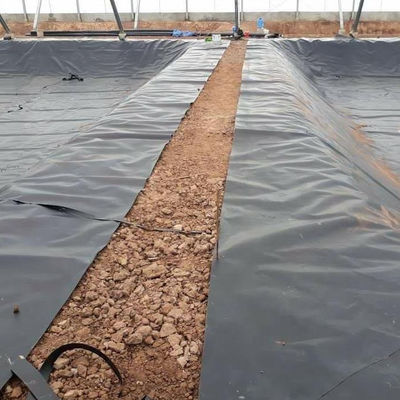1mm-2mm 厚さの防水HDPE地膜 人工湖のタンク ダムの壁面
