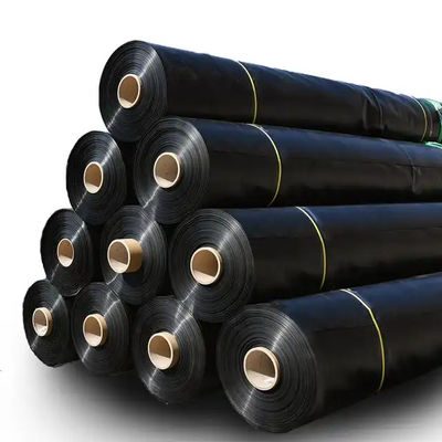 1~6m 厚さ HDPE 質感型 地膜 尾水ダム 双面滑らかな表面