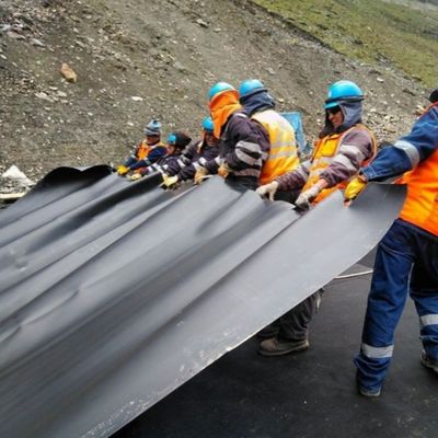 現代のデザイン プリファブリック HDPE スムーズジオメムラン 水槽用魚池ラインナー 0.5mm 1mm