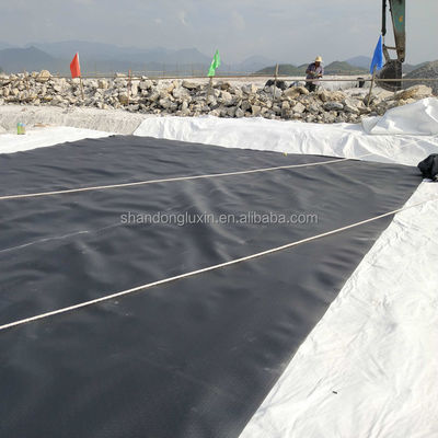 ASTM GRI-GM13 標準 HDPE 地膜シート 水産物 池の敷き布団 1m-8m 幅