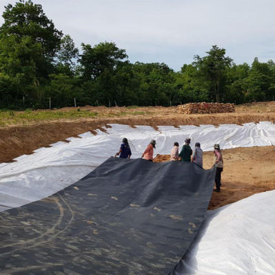 青いHDPE地膜 0.2-3.0mm 厚さ ダム用 リナー 貯水池 鉱山 シュリップ 農園 池