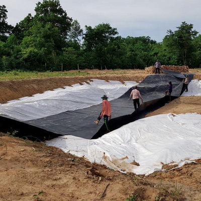 EPDM EVA HDPE 池の敷き布団 魚のプラスチックシート エビ 水泳池 養殖池 ダム