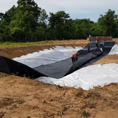 EPDM EVA HDPE 池の敷き布団 魚のプラスチックシート エビ 水泳池 養殖池 ダム