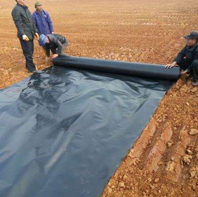 UVHDPE池面膜 防水地膜 1mm 厚さ ダム面膜 平方メートルあたり