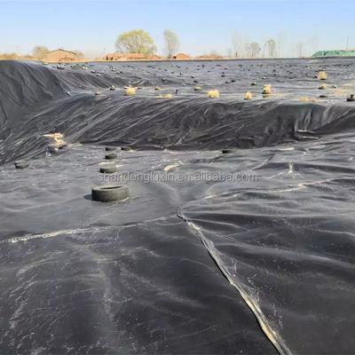 鮮やかな地球膜 魚 シュリッポウ 養殖 タンク 池 水不気 プラスチックシート HDPE ライン