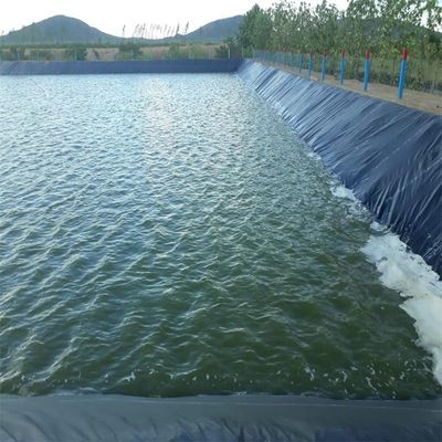 魚類 エビ飼育 HDPE 地膜 0.5mm ポリエチレン ライン ブラック ロール 防水