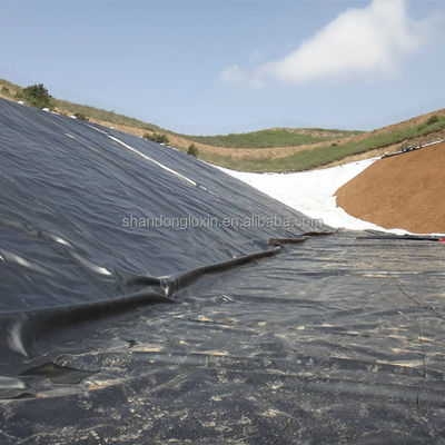 1m-8m 幅 黒 白 緑 青 環境 プロジェクト用 HDPE 地膜 ラインナー