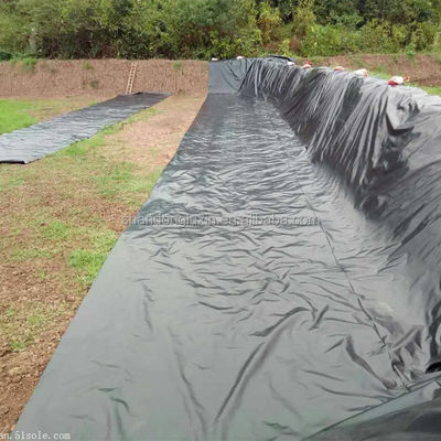 ASTM GRI-GM13 人工湖用 1mm の HDPE 地膜 魚池 ラインナー