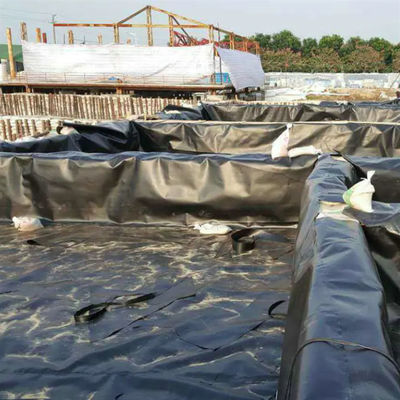 1m-8m 幅 2重質感 HDPE 地膜 魚池と埋立地に 1mm 厚さ