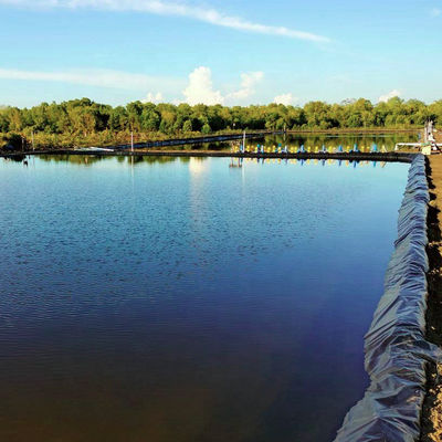 HDPE ゲオメムラン 透き通れない池の敷き水 PE 防水 ブラック プラスチック 池の敷き紙ロール