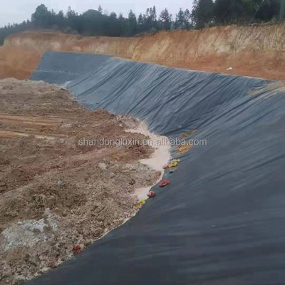 ASTM GRI-GM13 標準 HDPE 滑らかな地膜 水貯蔵タンク用の魚池ラインナー