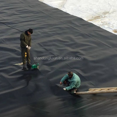 プロジェクトのための総ソリューション 工業設計スタイル HDPE 地膜魚飼育タンク