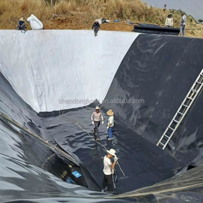 プロジェクトのための総ソリューション 工業設計スタイル HDPE 地膜魚飼育タンク