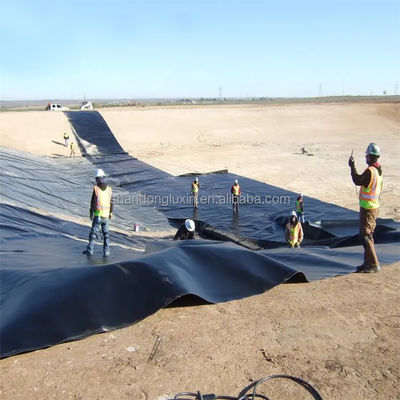 プロジェクトのための総ソリューション 工業設計スタイル HDPE 地膜魚飼育タンク