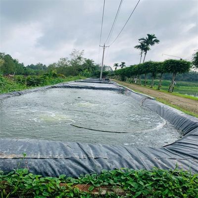 1.5mm 滑らかな黒色 HDPE 地膜 屋外環境用 魚の池 防水