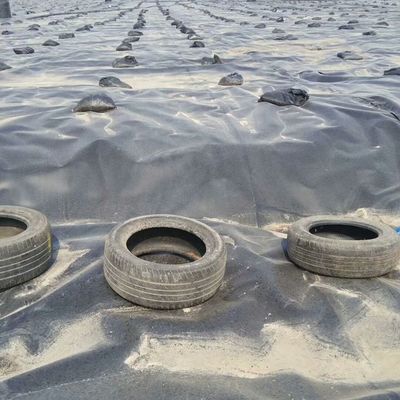 1.5mm 滑らかな黒色 HDPE 地膜 屋外環境用 魚の池 防水